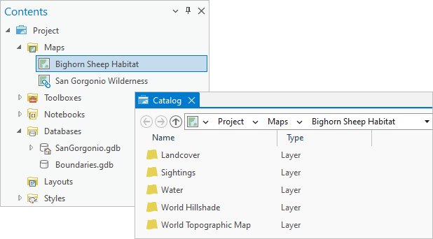 Catalog view and associated Contents pane