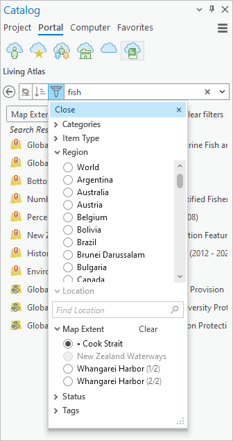 Filter drop-down list in the Catalog pane