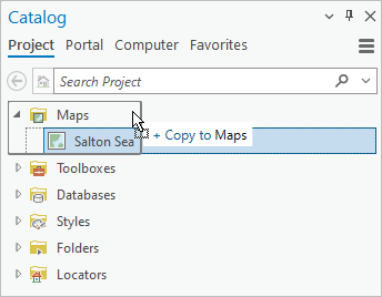 A map copied to the Maps container in the Catalog pane