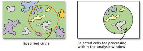 Extract by Circle tool example