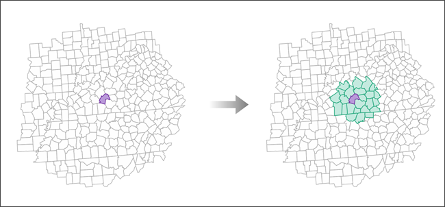 A focal feature and its neighborhood