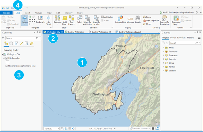 Aplicación ArcGIS Pro con una vista de mapa activa