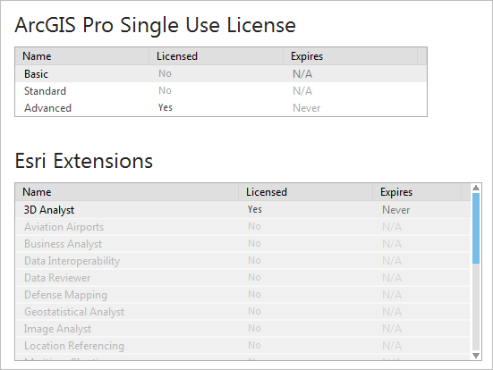 Información de licencia de uso único en ArcGIS Pro