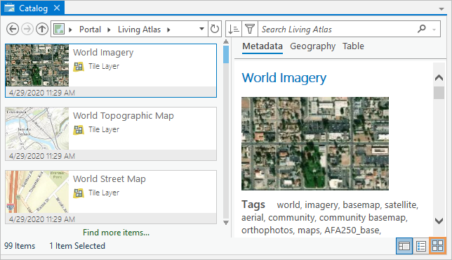 La vista de catálogo presenta propiedades de los elementos y vistas en miniatura de las teselas y los metadatos de los elementos, para ayudarle a explorar los elementos que no conozca bien.