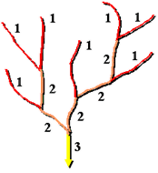 Método de clasificación de arroyos Strahler