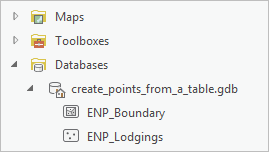 Nueva clase de entidad de la geodatabase de proyecto