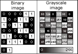 Valores binarios y de píxeles de imagen de escala de grises