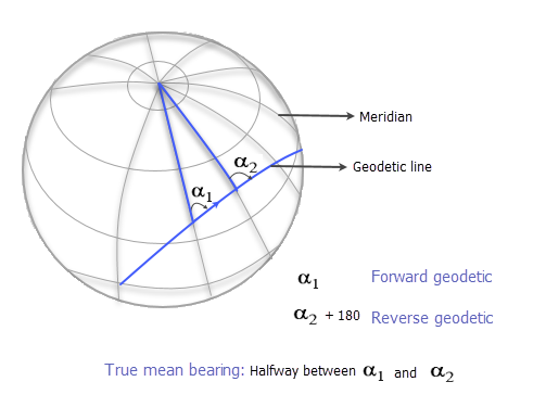 Geodésico hacia delante, geodésico inverso y valor medio verdadero