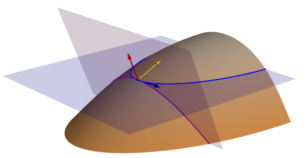 Planos de curvatura tangencial y del plano (curva de nivel proyectada)