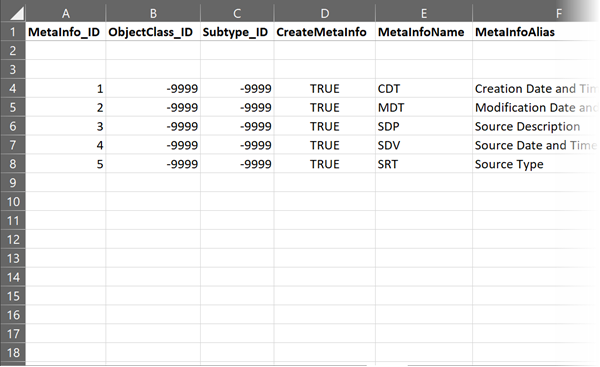 Example of the MetaInfo worksheet