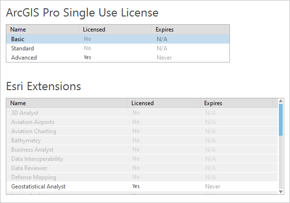Información de licencia de uso único en ArcGIS Pro