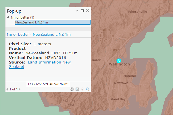 Capa Mapa de cobertura de elevación acercada a Wellington (Nueva Zelanda) con ventana emergente