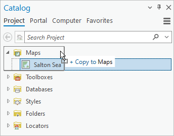 Un mapa copiado en el contenedor Mapas del panel Catálogo