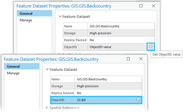 Muestra el botón Obtener valor ObjectID en la pestaña General del cuadro de diálogo Propiedades del dataset de entidades.