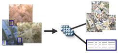 Diagrama del dataset de mosaico