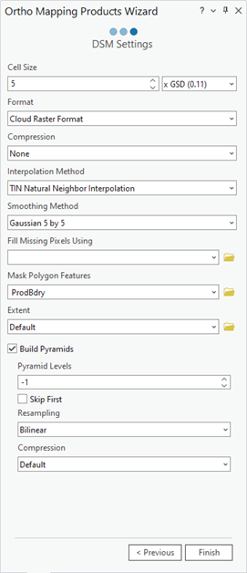 Configuración de DSM del asistente de Productos de representación cartográfica de ortofotos