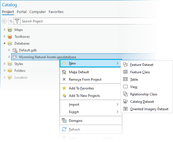 Desde el panel Catálogo de ArcGIS Pro, este menú contextual se muestra al hacer clic derecho en una geodatabase existente.