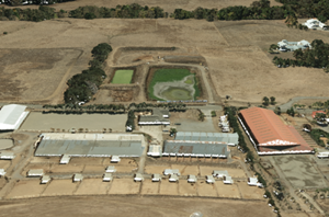 Ejemplo de capa de escena de nube de puntos Ejemplo de capa de escena de nube de puntos