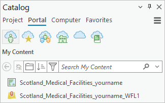 Panel Catálogo mostrando el mapa web Panel Catálogo mostrando el mapa web