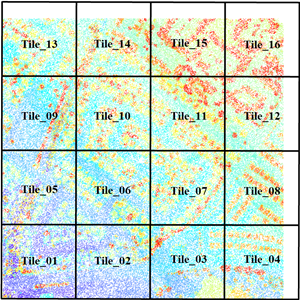 Nomenclatura Designación ordinal Nomenclatura Designación ordinal