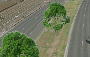 Ejemplo de capa de escena de puntos Ejemplo de capa de escena de puntos