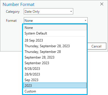 Opciones de formato de ArcGIS Pro para el tipo de datos solo fecha