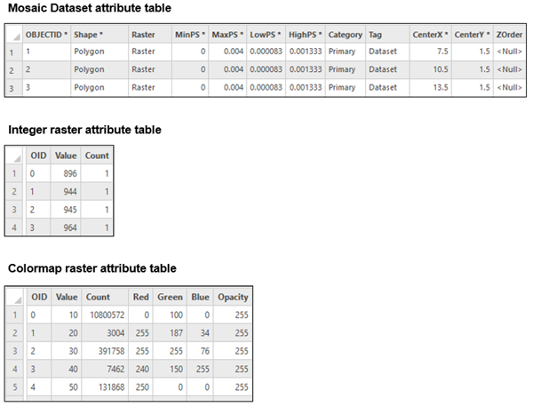 Ejemplos de tabla de atributos de ráster para un dataset de mosaico