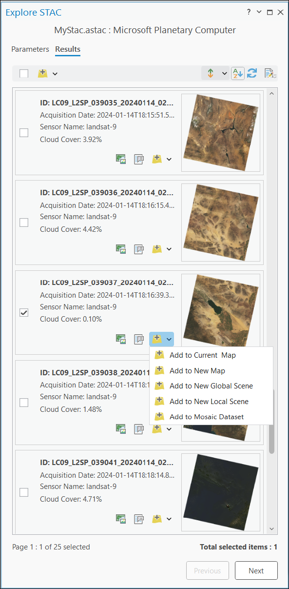 Pestaña Resultados del panel Explorar STAC