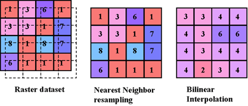 Ejemplos de las técnicas de remuestreo de vecino más cercano y de interpolación bilineal