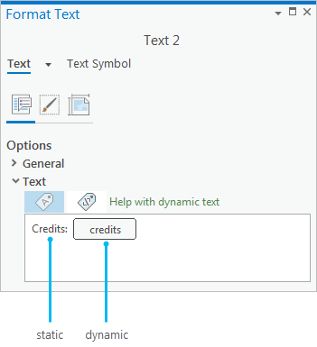 Fenêtre Format Text (Formater le texte) avec texte dynamique