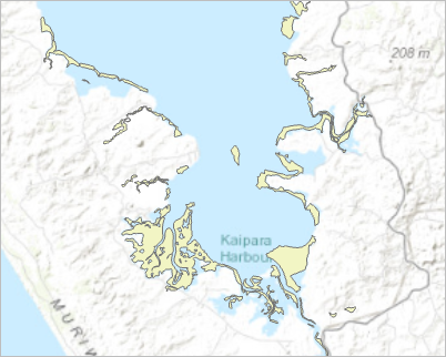 Mangroves dans la péninsule d’Okahukura