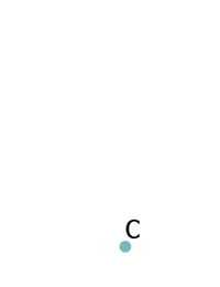 Résultats de l’entité ponctuelle avec Intersect (Intersecter)