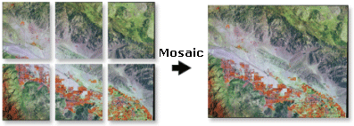 Illustration de l'outil Mosaïque