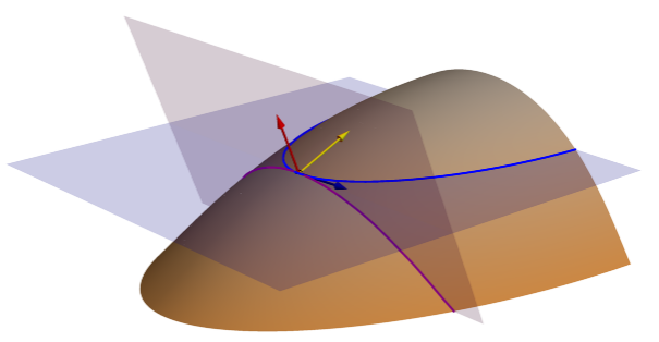 Plans de courbure tangentielle et d’isoligne