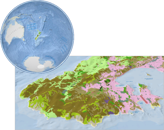 Scène globale et scène locale