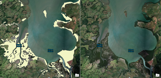 Comparaison des polygones représentant la mangrove aux images satellite