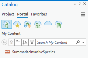 Onglet Portal (Portail) de la fenêtre Catalog (Catalogue) montrant l'outil web dans My Content (Mon contenu)