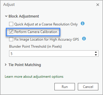 Option Perform Camera Calibration (Effectuer un calibrage de la caméra) dans la boîte de dialogue Adjust (Ajuster)