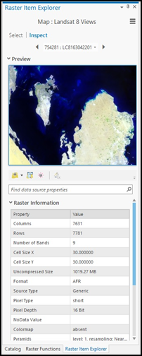 Fenêtre Raster Item Explorer (Explorateur d’éléments raster) présentant les détails associés à un élément spécifique du jeu de données mosaïque ou du service d’imagerie.