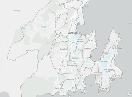 Fond de carte gris clair représentant Wellington, en Nouvelle-Zélande.