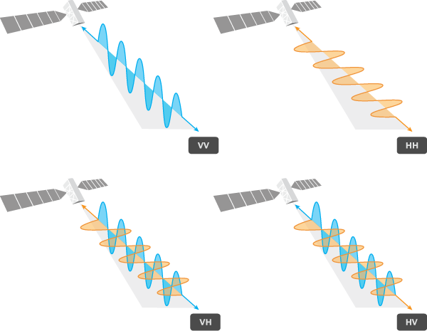 Polarisations