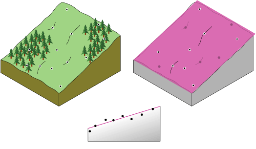 Surface de tendance plate