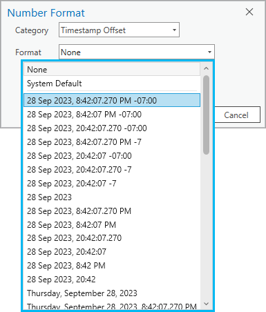 Options de formatage ArcGIS Pro pour le type de données Décalage de l’horodatage