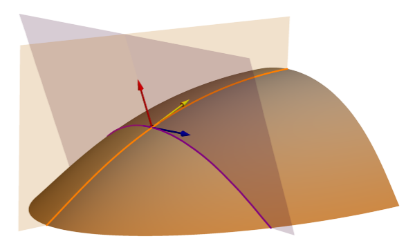 Plans des courbures longitudinale et tangentielle