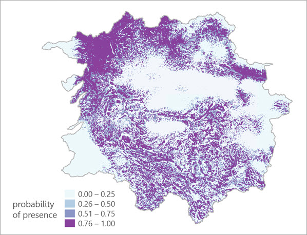 Symbologie et légende du raster de prévision en sortie