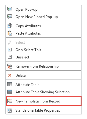 New Template From Record (Nouveau modèle à partir d’un enregistrement) New Template From Record (Nouveau modèle à partir d’un enregistrement)