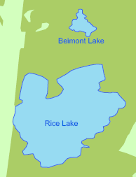 Étiquette du polygone placée en dehors du polygone Étiquette du polygone placée en dehors du polygone