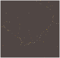 Identification de cuvettes Identification de cuvettes