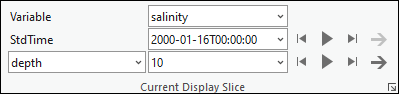 Groupe Current Display Slice (Tranche actuellement affichée)