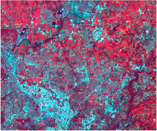 Image Landsat TM en entrée